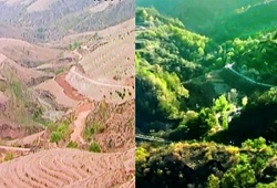 dolina przed i po zazielenieniu